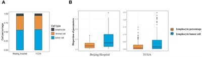 Novel immune classification based on machine learning of pathological images predicts early recurrence of hepatocellular carcinoma